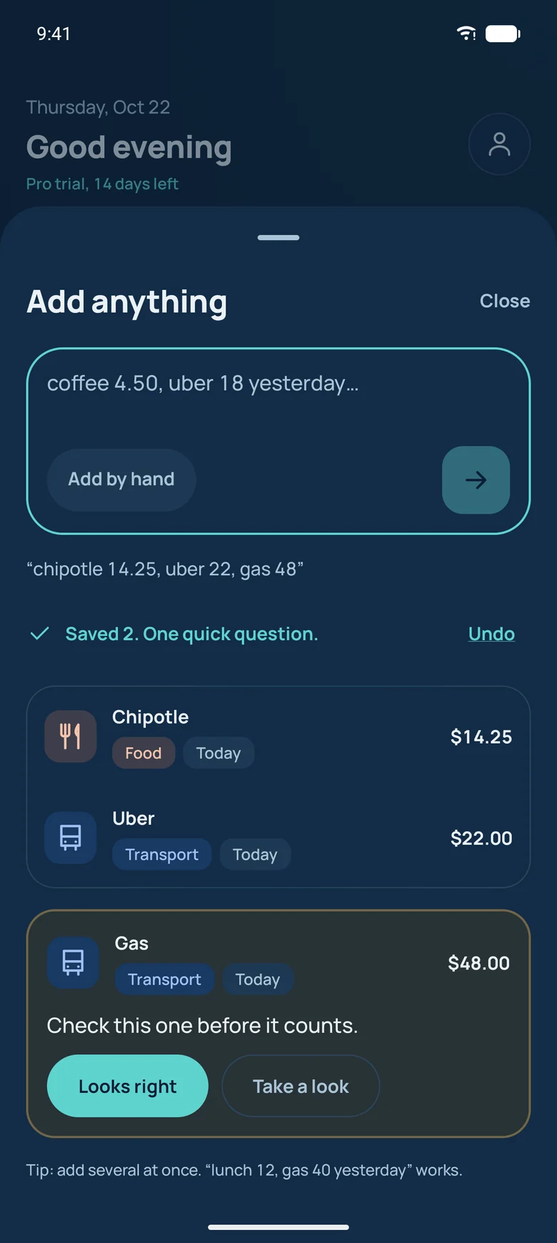 Add anything sheet with three payments read from one typed note